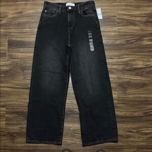 PacSun Men’s Relaxed Wide-Leg Jeans — Black